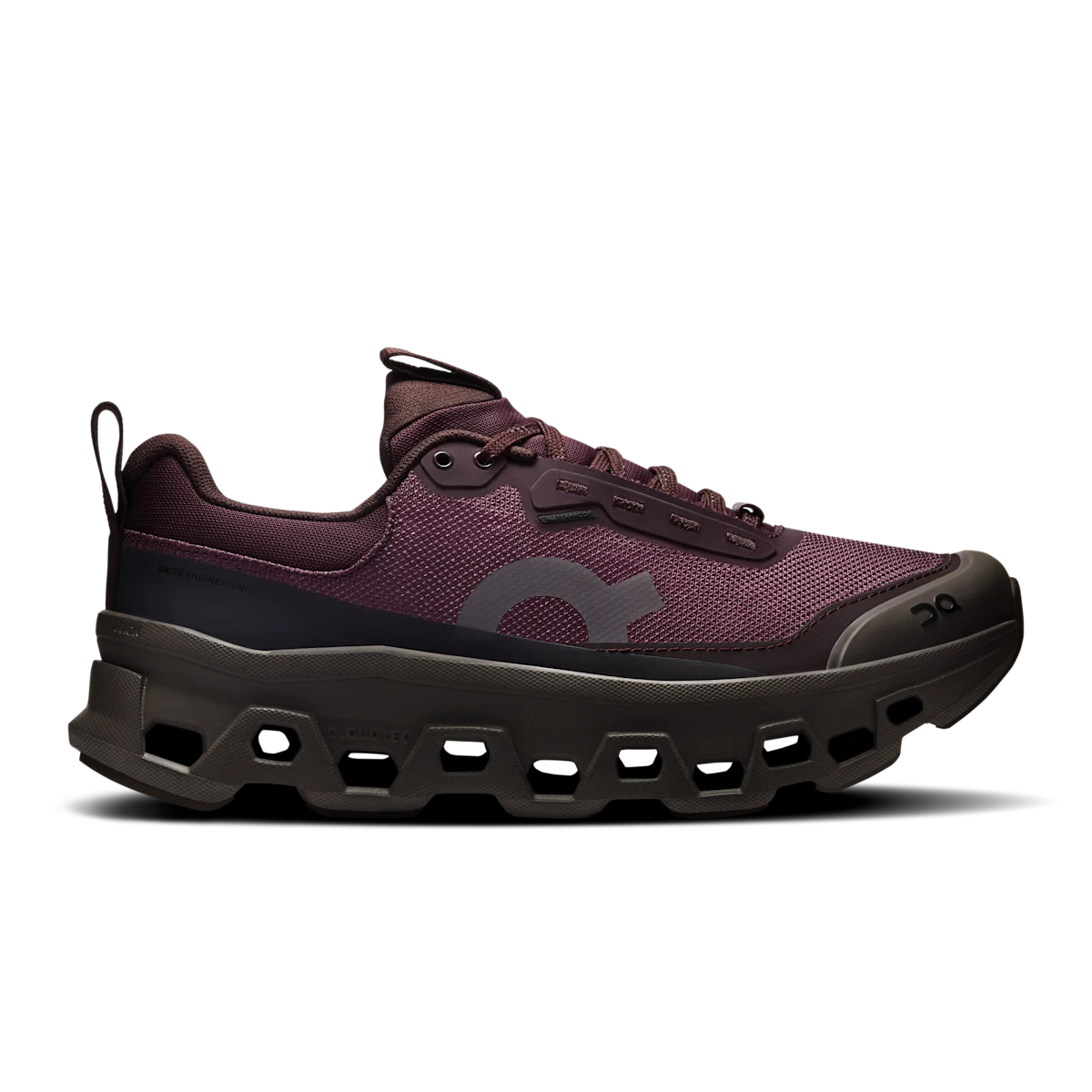 Cloudmonster 1 Waterproof Urchin | Pebble — 1